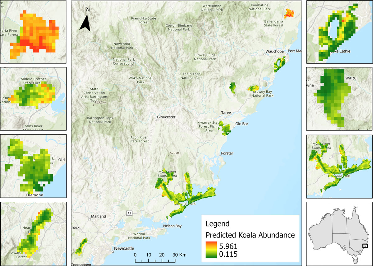 map of NSW reveals the abundance of koalas across the 7 survey sites, with Maria National Park having the highest number