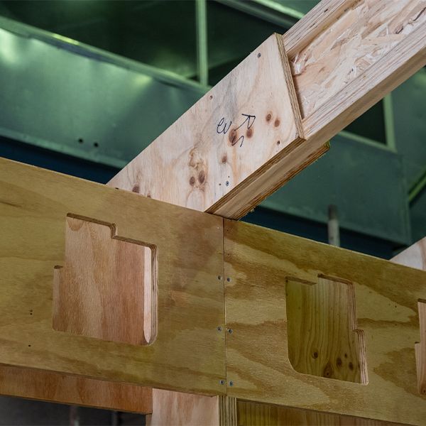 Fast/Slow house build
