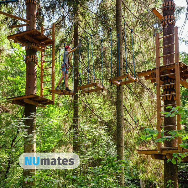 Image of person climbing high ropes course in tree forrest