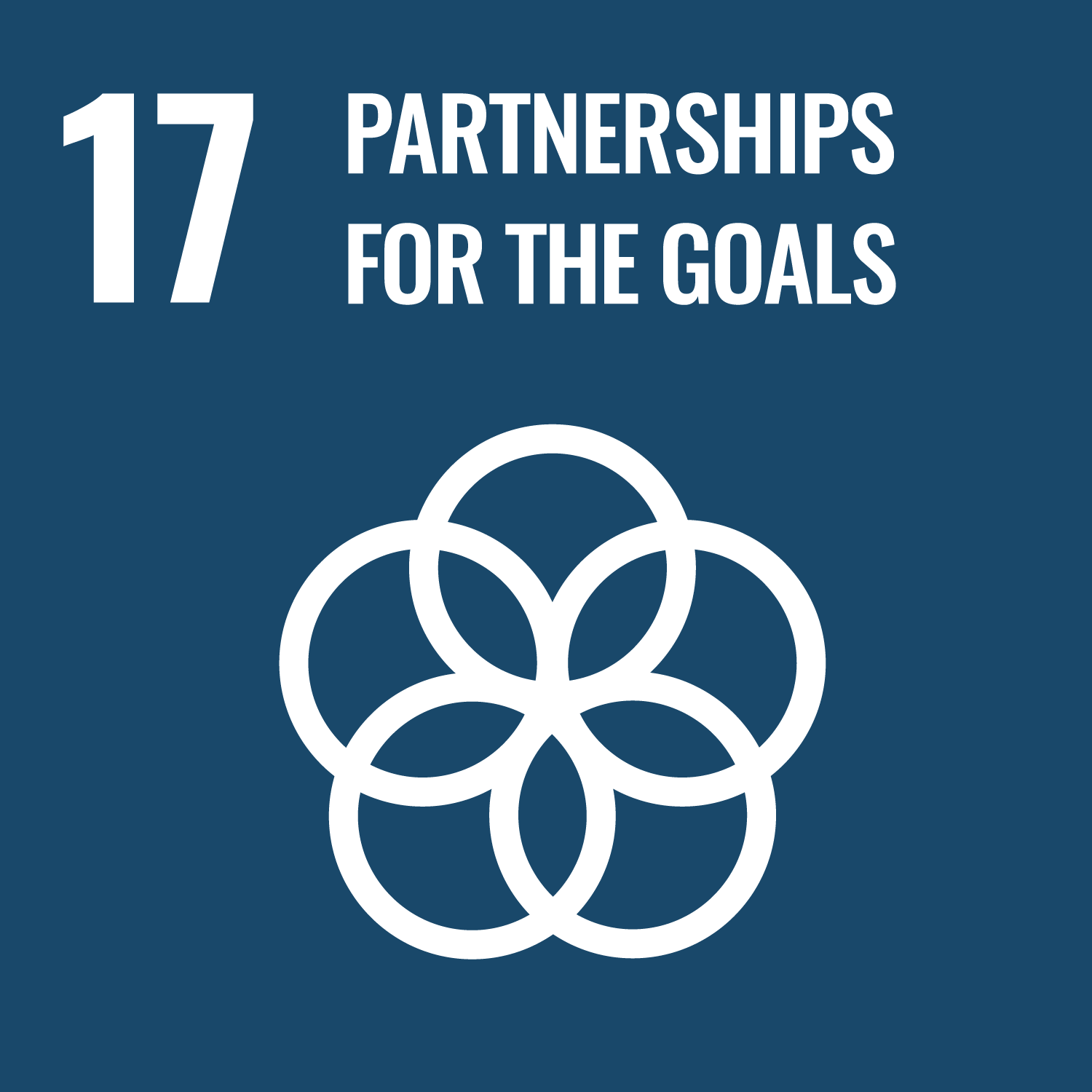 Blue SDG 17 logo - partnerships for the goal