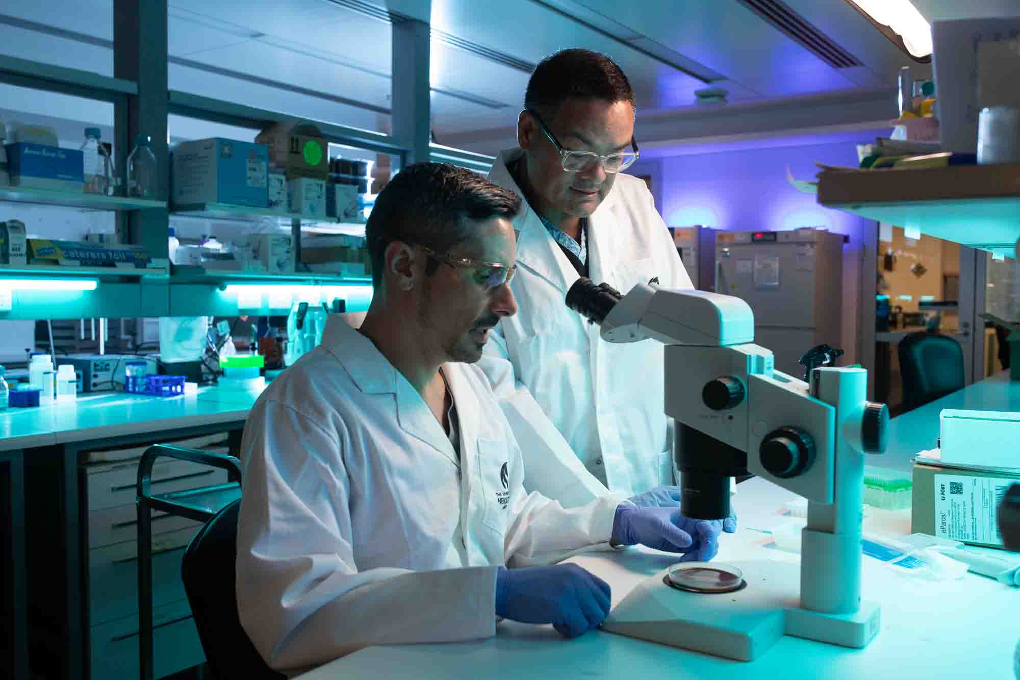 Two men in a lab look into a microscope
