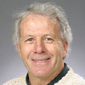 Conjoint Professor Peter Hempenstall