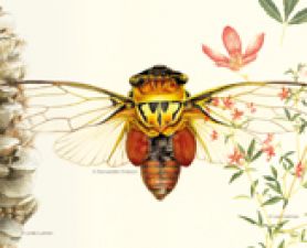 . World-first MOOC starts UON’s new partnership with edX