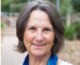 . Dr Gillian Gould: 2016 Alan Chancellor Award winner