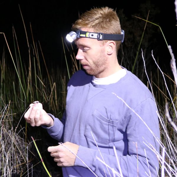 Dr Simon Clulow with frog. Researchers say act now on frog decline