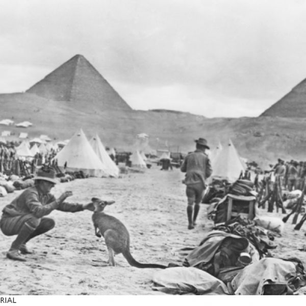 Anzac_digger_kangoroo.JPG War memorial