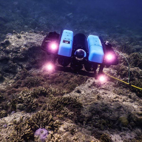 A remotely operated vehicle underwater