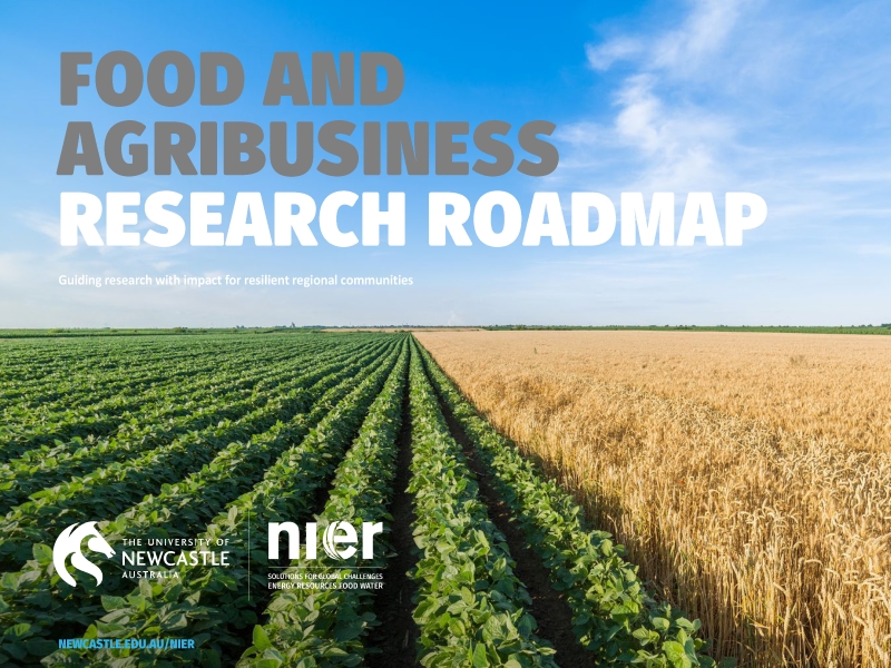 Food and Agribusiness Roadmap