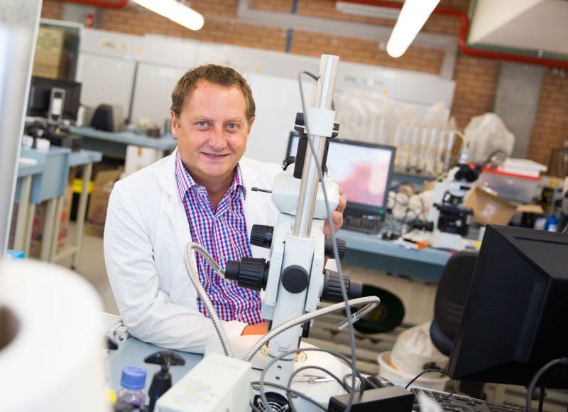 Professor Brett Neilan (pictured) led the University of Newcastle's involvement in the new Centre of Excellence in Synthetic Biology (CoESB).