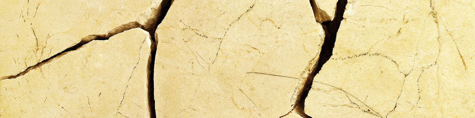 Phase field finite element methods 