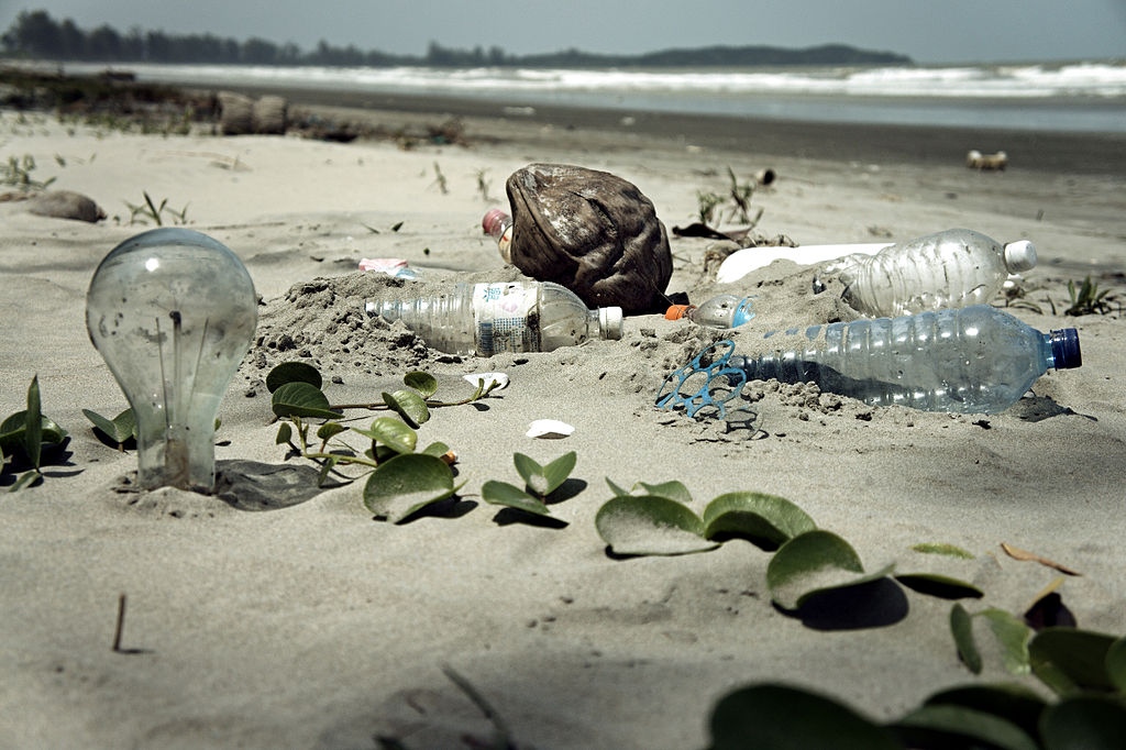 Image shows plastic bottles and other rubbish on a beach