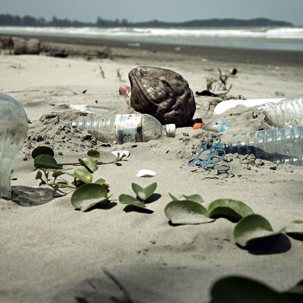 Image shows plastic bottles and other rubbish on a beach