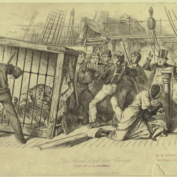 nypl_digitalcollections_square for web.jpg A drawing from the 1800s on a boat showing a tiger breaking out of a wooden cage and frightened crew members, including an Ayah protecting a baby