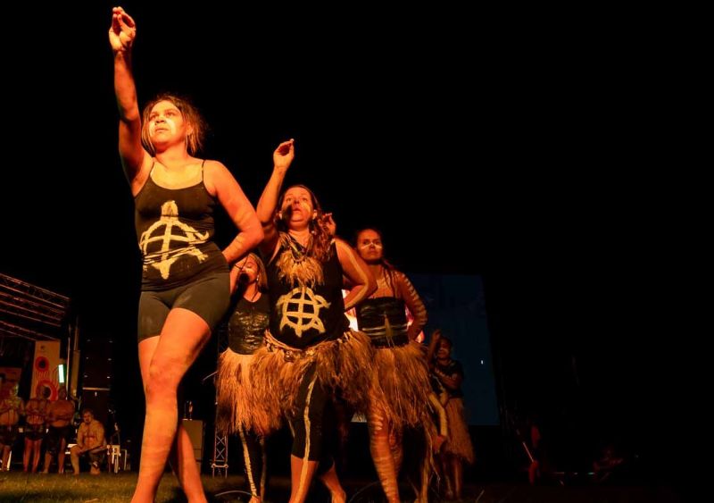 A mob of 'Dinawan' or emu move through country. (Wakagetti Dancers)