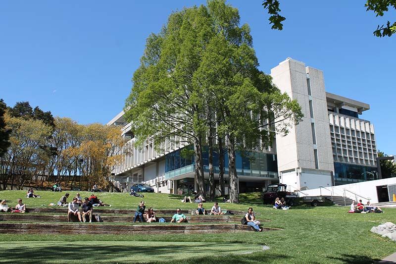 The University of Waikato