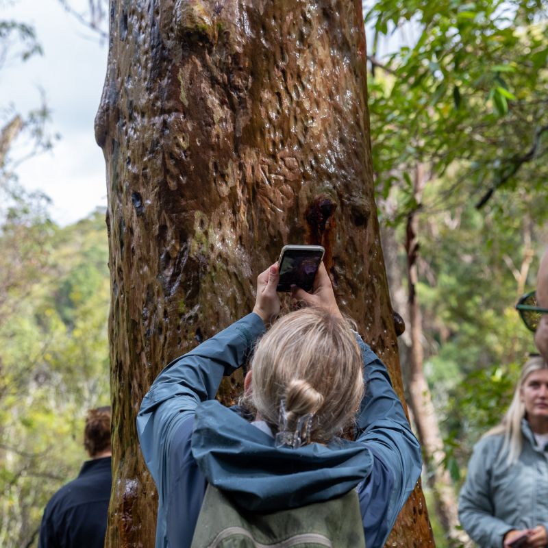 Student at Special Elective