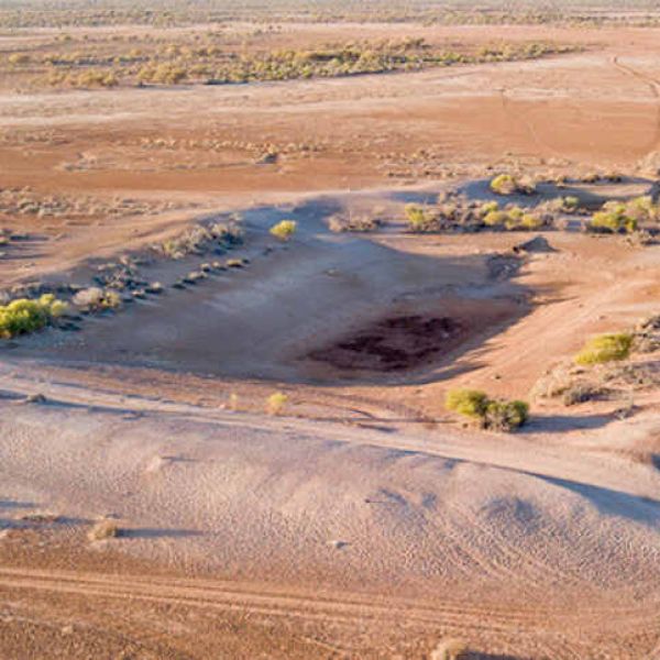 brown dust coats a hollow dam with trees sparsely surrounding the water-less cavity