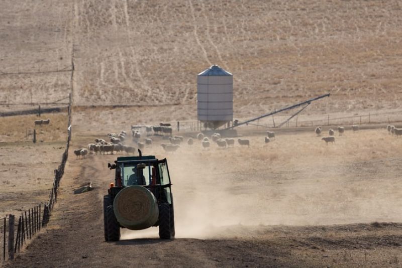 A tractor is pictured in a dry, dusty paddock with sheep in the background
