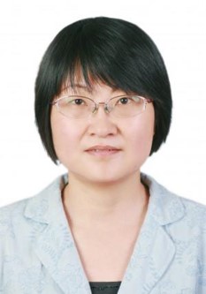 Prof. Xie Yi