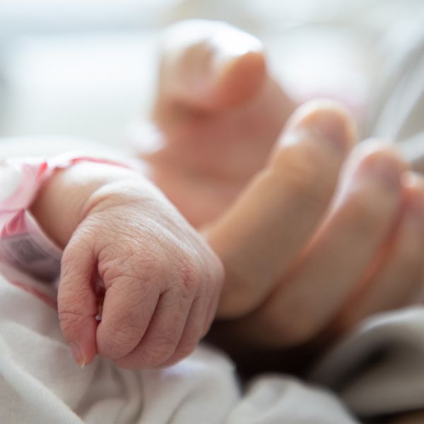 A close up of a new born baby hand holding the hand of an adult