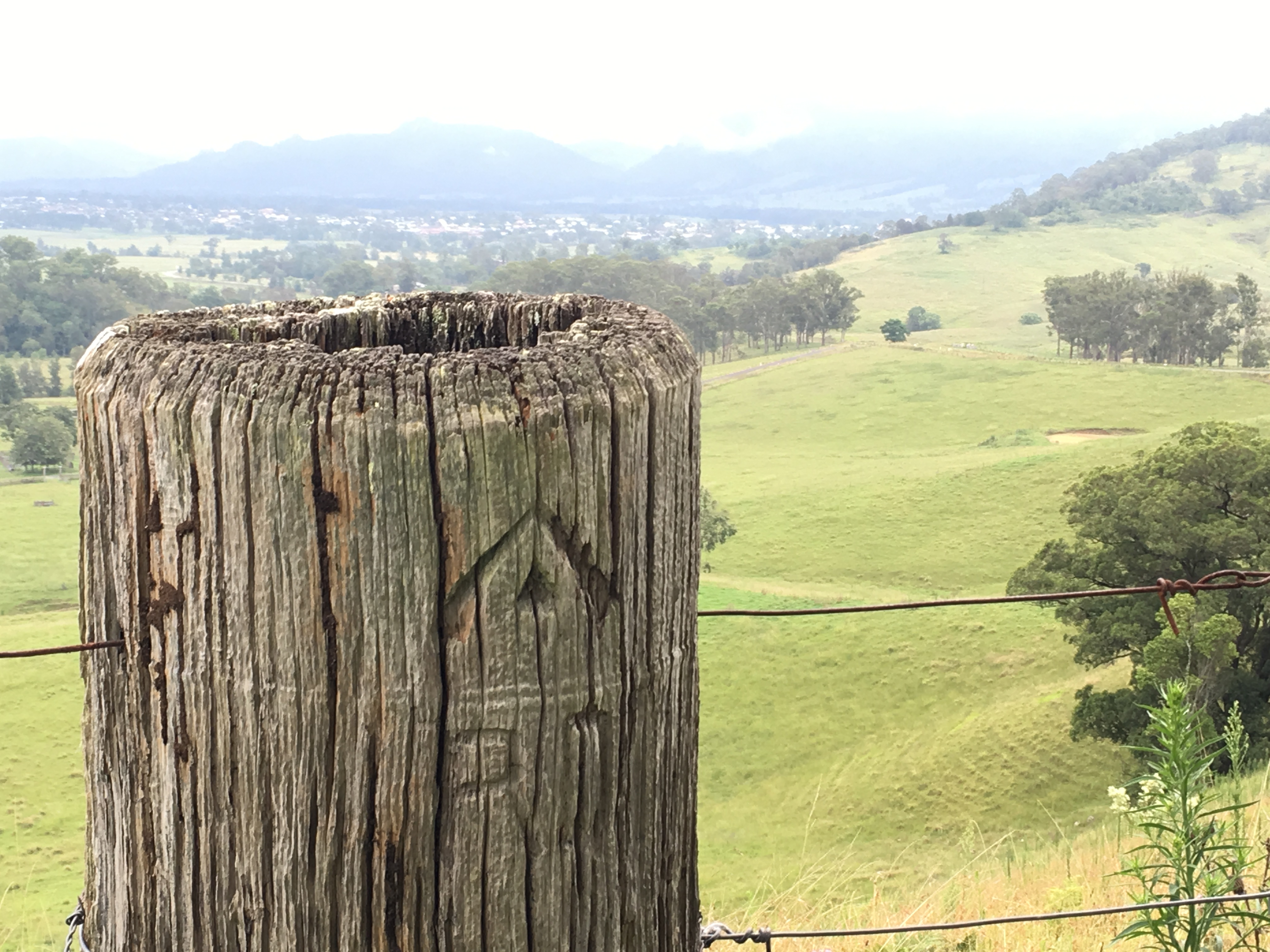 Lower Mid North Coast Sector