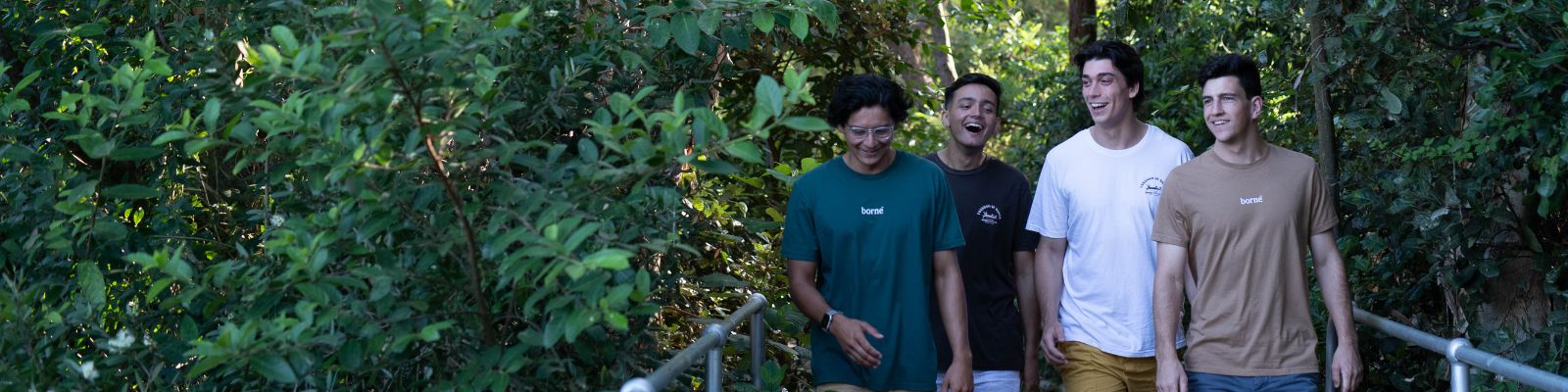 A mosquito-driven mission