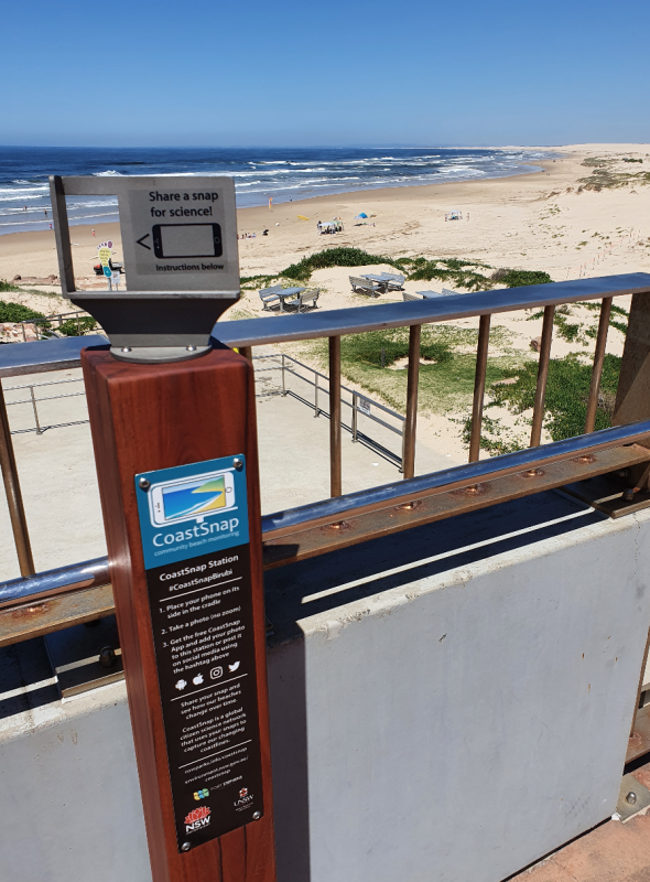 An example of citizen science in action