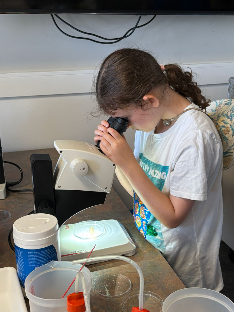 A community member looks at materials through a microscope