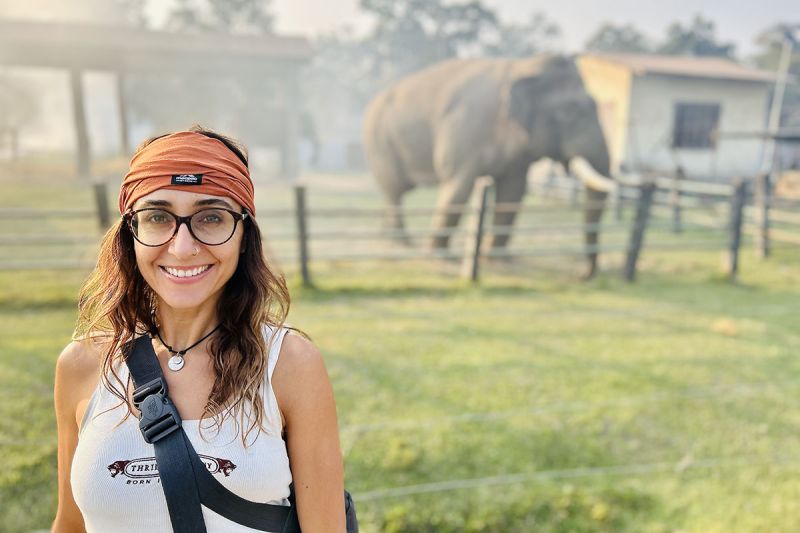 Study abroad and exchange
