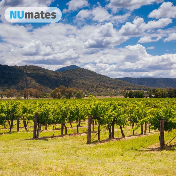 NUmates Hunter Valley Segway Tour