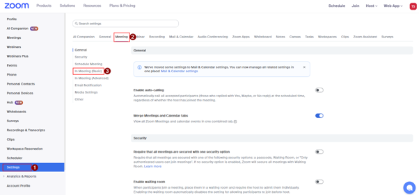 A screenshot taken from the Zoom web portal that shows basic 'in-meeting' settings.