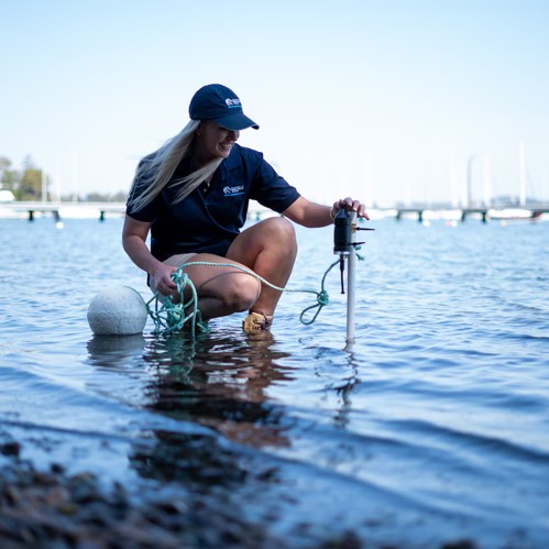 Brittney Valenzisi installing a hydrophone during her research collection.