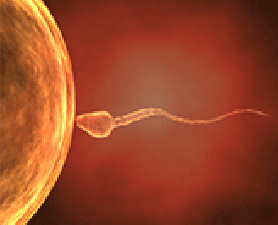 Sperm symposium. International Symposium on Spermatology