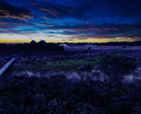 . UON a proud supporter of TiNA