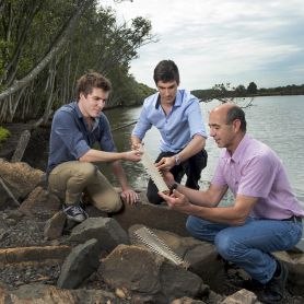Sam Evans, David Bradney & Phil Clausen. Sawfish exposed as the ultimate stealth hunter