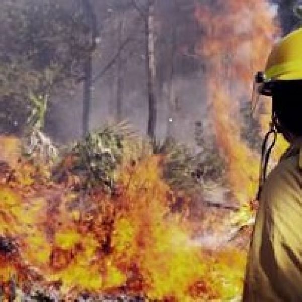 Fire Fighting Disaster Management. Scholarships for Emergency Management Volunteers