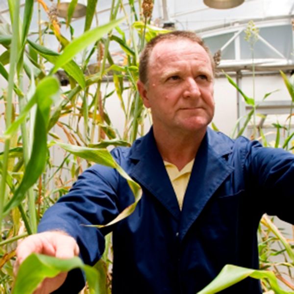 Chris Grof Chris Grof