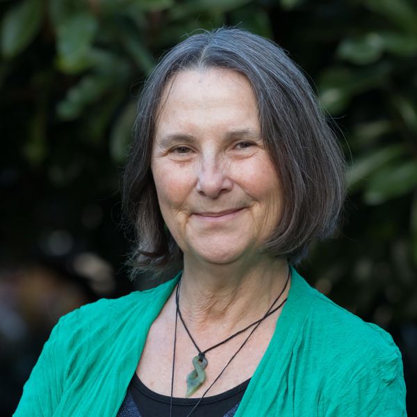 Associate Professor Gillian Gould. New support will help pregnant Indigenous women quit smoking