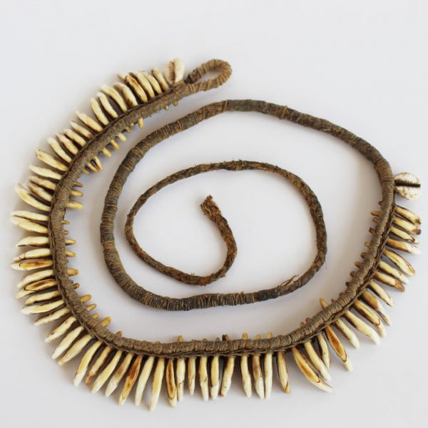 Dogs Teeth Necklace. Museum Collection Online Database Project is now live