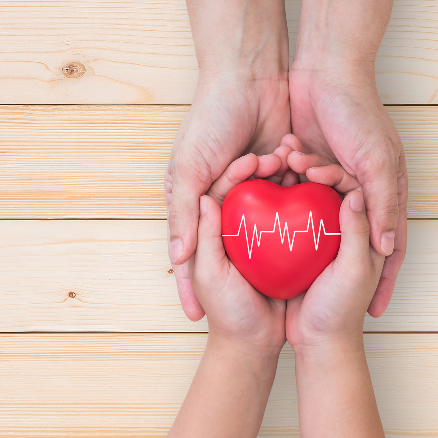 Hearty success in NSW Medical Research Cardiovascular grants