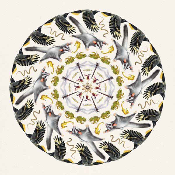 BIOMES Mandala - Featuring 9 stunning images of local biodiversity, 8 threatened, and one not yet threatened. Which is which? What is common today might be threatened tomorrow? How do we think about common species in the landscape. Created by Rachel Klyve
