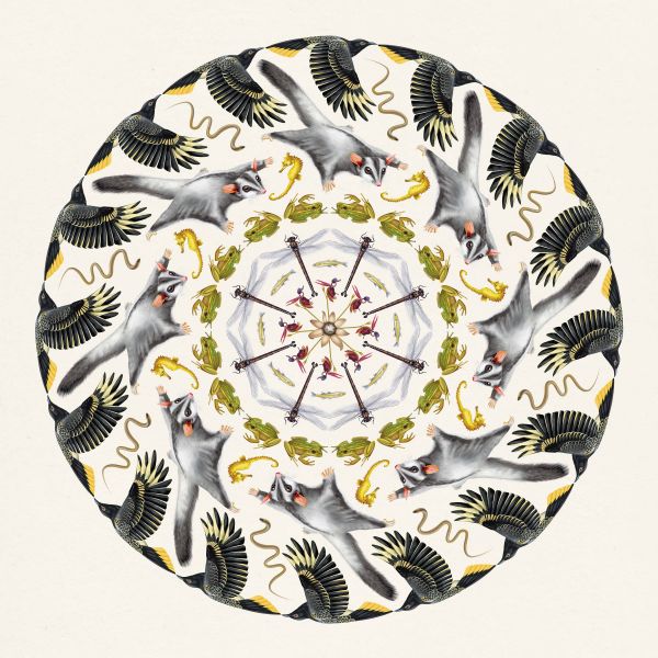 BIOMES Mandala - Featuring 9 stunning images of local biodiversity, 8 threatened, and one not yet threatened. Which is which? What is common today might be threatened tomorrow? How do we think about common species in the landscape. Created by Rachel Klyve. Taking conservation to the community through art 