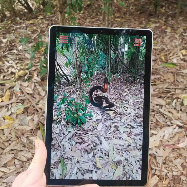 Person holding tablet