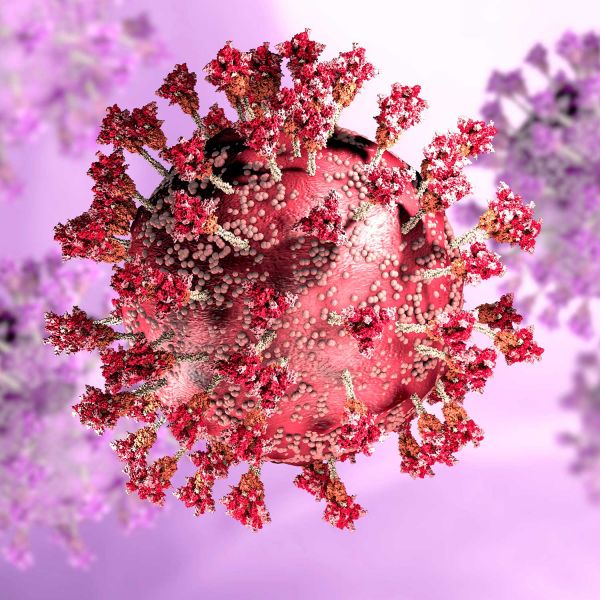 Viral infection. Study to test anti-viral effects of Lactoferrin