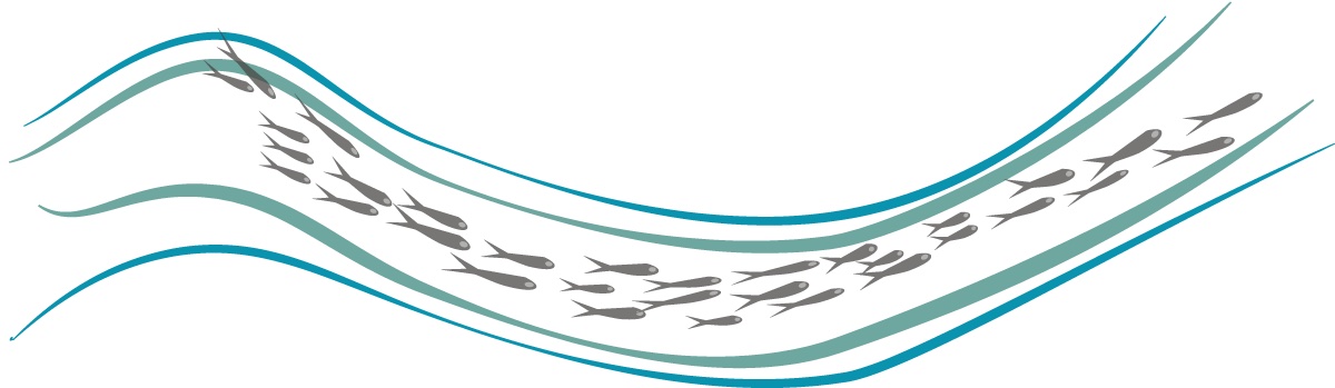 Drawing of fish swimming along a current of water