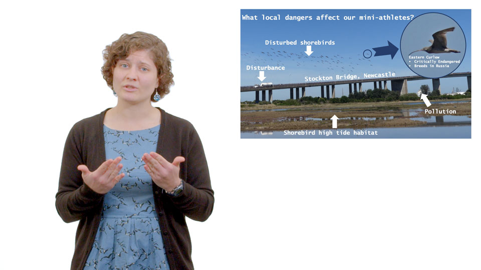 3MT 2022 Finalist - Mattea Taylor