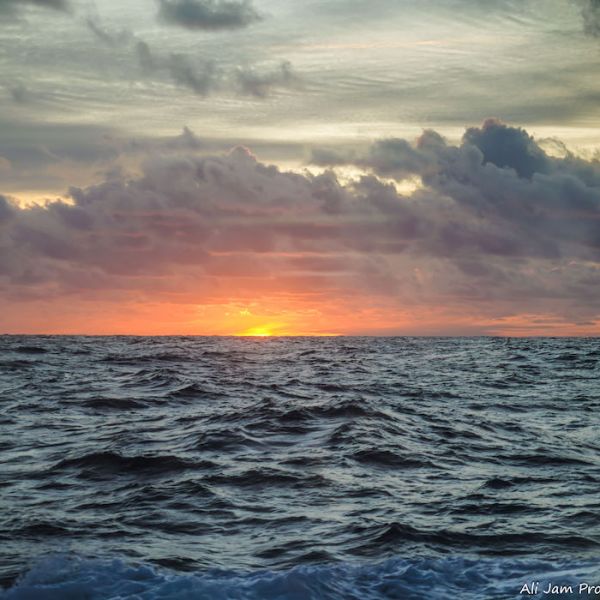 Sunrise view from the RV Investigator