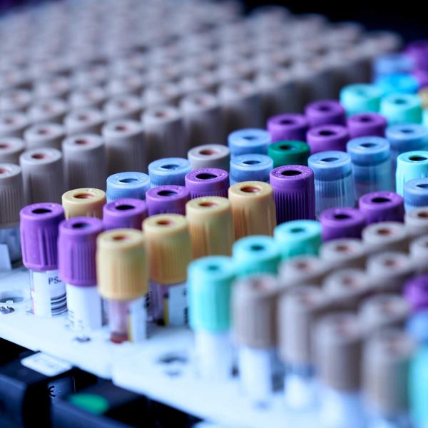 . $3.6m NHMRC funding fuels innovative ideas