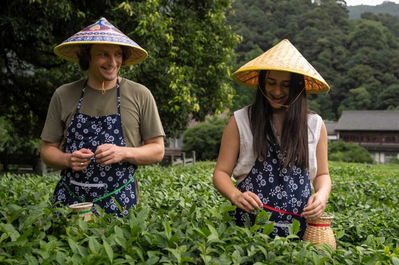 2022 Ma & Morley Scholars Alex Maniatis and Hillana Seeley picking tea in Hangzhou, China 