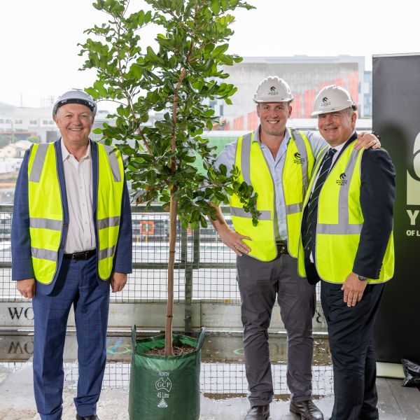 Three men in high-vis vests and hard hats stand around a tree that is ready to be potted. Central Coast Campus reaches new heights as University of Newcastle celebrates topping out milestone .